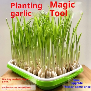 Graines de blé, herbe à chat, maltose, orge, semis de <span class=keywords><strong>seigle</strong></span>, plateau de semis, herbe à chat pour le contrôle des boules de poils - Product Image 3
