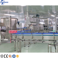 Ligne de production complète de machine à jus entièrement automatique Ligne de production de jus de fruits