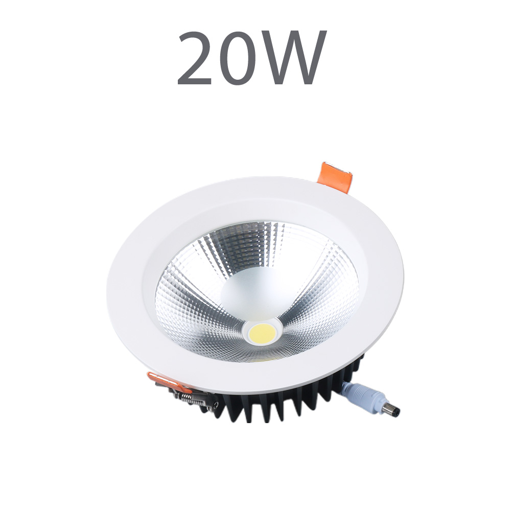 20W