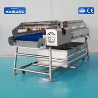 Máquina de Lavado de Vegetales de Grado Alimenticio, Línea Completa de Procesamiento de Vegetales Frescos Cortados para Fábricas de Conservas y Ensaladas