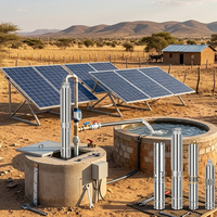 Pompe à eau solaire de 2 pouces avec panneau, pompe submersible pour puits profond, pompe pour puits de 64 m de profondeur