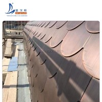 Solution imperméable durable de toiture d'aspect naturel de tuiles de toit d'ardoise pour des villas et des maisons résidentielles
