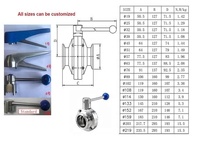 Vanne papillon sanitaire Aohoy en acier inoxydable avec poignée à gâchette en plastique bleu, raccord Tri-Clamp, tailles 1, 1.5, 2, 3, 4 pouces
