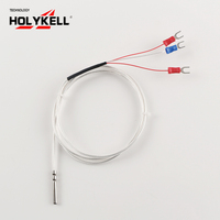Capteur de température Holykell Rtd Pt100 3 fils Transmetteur Dc 24v 0-200 degrés