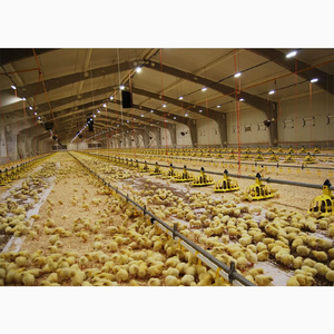 Gà Thịt/nhà lai tạo/lớp/trứng cài đặt Trại giống xây dựng mạ kẽm ánh sáng đo Kết Cấu Thép đổ xây dựng tối giản - Product Image 4