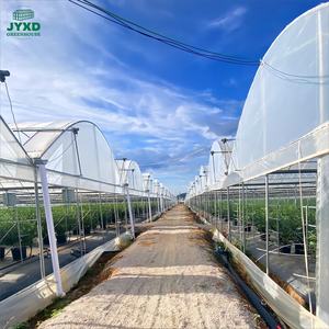 Nouveau design de haute qualité pour plantes agricoles, <span class=keywords><strong>abri</strong></span> contre la pluie pour tomates, <span class=keywords><strong>kit</strong></span> de serre multi-portées - Product Image 5