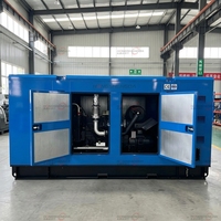 Générateur de haute qualité avec alimentation d'usine 200 kW 250 kVA, alternateur diesel sans balais triphasé Weichai 480 V ATS, télécommande