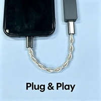 Kabel USB-C ke USB-C HiFi dengan Panjang & Logo Kustom OEM, Berlapis Perak Tembaga Kristal Tunggal, Kabel DAC Digital untuk Perangkat Portabel