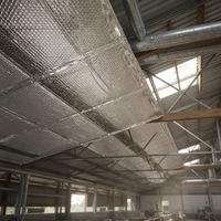 Barrière thermique moderne en aluminium avec isolation à bulles, design écologique pour l'isolation des toits des élevages porcins et des salles de maternité