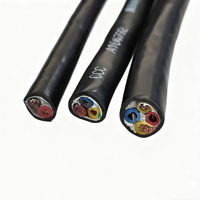 Câble électrique flexible en cuivre RVV avec gaine en PVC, blindé en cuivre, certifié CCC, pour appareils électroménagers, 300V, 0,3-10 mm, rallonge