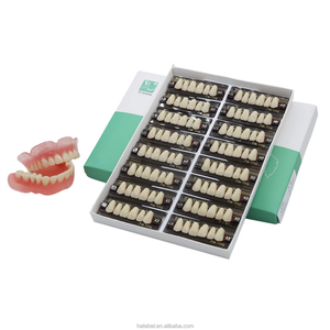 Prótesis Dental YP de Dos Capas, Dientes Superiores Anteriores de Resina Sintética Y1, Dientes de Resina Acrílica Dental - Product Image 2