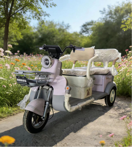Triciclo para Adultos con Motor Trasero de 3 Velocidades, Alcance de 60 km, Marco de Acero, Batería de Plomo-Ácido para Personas Mayores - Product Image 2