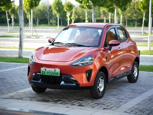 Exportación de alta calidad 3000W Vehículos eléctricos de nueva energía 5000W AC Coche eléctrico de cuatro ruedas de baja velocidad <span class=keywords><strong>barato</strong></span> 500km para ventas al por mayor - Product Image 5
