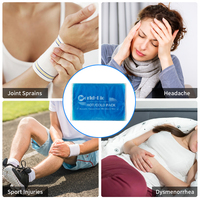 Pack de gel glacé personnalisé PE Packs de gel pour compresse froide Packs de refroidissement à la glace Pack de gel pour froid chaud