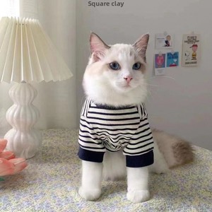 Sudadera de Algodón Sólido con Dibujos Animados de Invierno para Perros y <span class=keywords><strong>Gatos</strong></span>, Ropa para Mascotas de Dos Patas para las Cuatro Estaciones, Británico de Pelo Corto, Ragdoll, Venta al por Mayor - Product Image 4