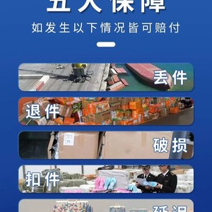Línea de Carga Aérea Pequeña de DHL de China a Alemania, Exportación de Frutos Secos, Impuestos Incluidos, Doble Despacho de Aduanas - Product Image 1
