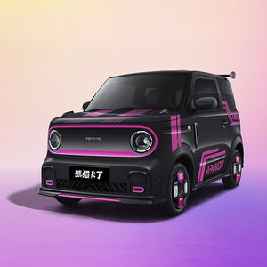 รถยนต์ไฟฟ้าขนาดเล็กจีนสำหรับแพนด้า ไนท์ มินิ อีวี เป็นมิตรกับสิ่งแวดล้อม น้ำหนักเบา สะดวกในการชาร์จ ปล่อยมลพิษต่ำ <span class=keywords><strong>3</strong></span> ประตู - Product Image 1