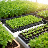 Plateau de semis en polystyrène PS carré à 128 alvéoles, profondeur 48 mm, pour herbes, fleurs et légumes-feuilles, format 1020, vente en gros
