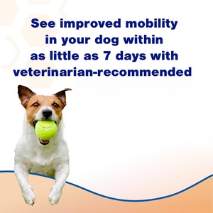 อาหารเสริมข้อต่อสะโพกและข้อสำหรับสัตว์เลี้ยงกัดเคี้ยวนุ่มอาหารเสริมสุขภาพข้อต่อสำหรับสุนัขและแมวฉลากส่วนตัว - Product Image 3