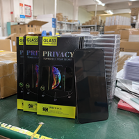 Protection d'écran en verre trempé anti-espion à 30 degrés pour iPhone 12 13 14 15 16 Mini Pro Max Plus SE XR 11