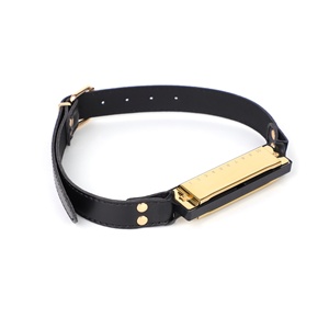 Accessoires de sexe SM amusant Harmonica bouche Plug Couple taquineries flirter nouveau Unique reliure bouche balle formation Sex Toy - Product Image 2