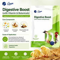 Supplément pour Poulets de Chair Reproducteurs avec Acides Aminés de Qualité Alimentaire, Améliorateur de Métabolisme, Stimulateur de Performance Productive, Protection Hépatique