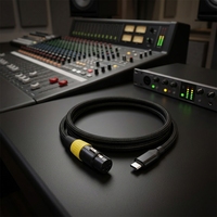Adaptateur USB-C Type-C mâle vers XLR 3P femelle pour ordinateur et téléphone, câble convertisseur audio microphone pour HDTV et haut-parleur
