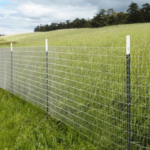 Proveedor Chino de Refuerzo de Esquina Galvanizado de Acero <span class=keywords><strong>para</strong></span> Postes en T <span class=keywords><strong>para</strong></span> Cercas Agrícolas - Product Image 6