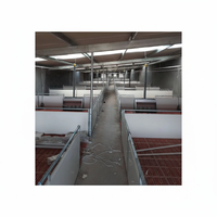 Nouveau système de cages de maternité isolées avec plancher à lattes en plastique, entièrement automatique, durée de vie de 20 à 25 ans pour l'élevage porcin