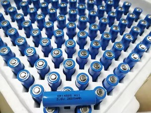 Bootpwr 리튬 주 배터리 <span class=keywords><strong>AA</strong></span> ER14505 LS14500 TL-5903 3.6V <span class=keywords><strong>2400mAh</strong></span> 리튬 배터리 - Product Image 6