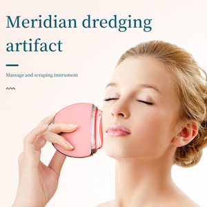 เครื่องขัดผิวหน้าแบบสั่นสะเทือน Meridian Dredging Artifact สำหรับยกกระชับใบหน้า แบบพกพา ชาร์จผ่าน USB ทำจากพลาสติก - Product Image 1