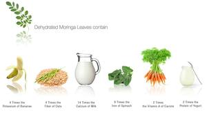 Jt Beste Prijs <span class=keywords><strong>Moringa</strong></span> Poeder 100% Wateroplosbaar <span class=keywords><strong>Moringa</strong></span> Boomblad Poeder Te Koop - Product Image 4