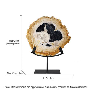 Cát màu Slice của gỗ hóa đá với đứng gỗ hóa thạch slab Slice - Product Image 5