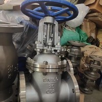 Válvula de Compuerta Personalizada OEM 316L de 14 Pulgadas Clase 150 con Brida OS&Y, Tamaño No Estándar Disponible