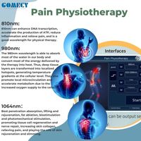 Appareil/Machine laser de physiothérapie à froid haute puissance 980nm 810nm 1064nm Classe IV pour soulager les douleurs menstruelles/pour les poignets/dos/genoux