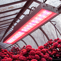 Lampe de culture LED à spectre complet IP66 pour la croissance des plantes hydroponiques, lampes de culture à spectre complet, lampe de croissance des plantes à intensité variable