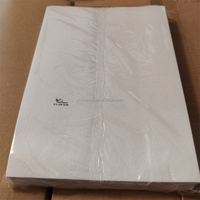 Papier Wafer Rond A4 100 Feuilles 0,35 mm Vente en Gros Direct Usine en Vrac Fournisseur B2B OEM en Stock Décoration de Gâteau Dessert