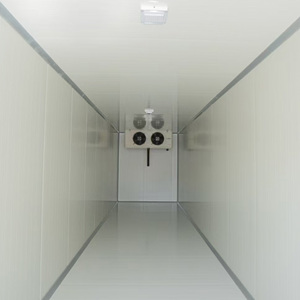 Ruang Pendingin Tenaga Surya 10ft/<span class=keywords><strong>20ft</strong></span> Off Grid dengan Unit Copeland dan Panel Surya untuk Pengawetan Buah, Sayuran, Daging Sapi, dan Produk Pertanian Lainnya di Area Terpencil - Product Image 5