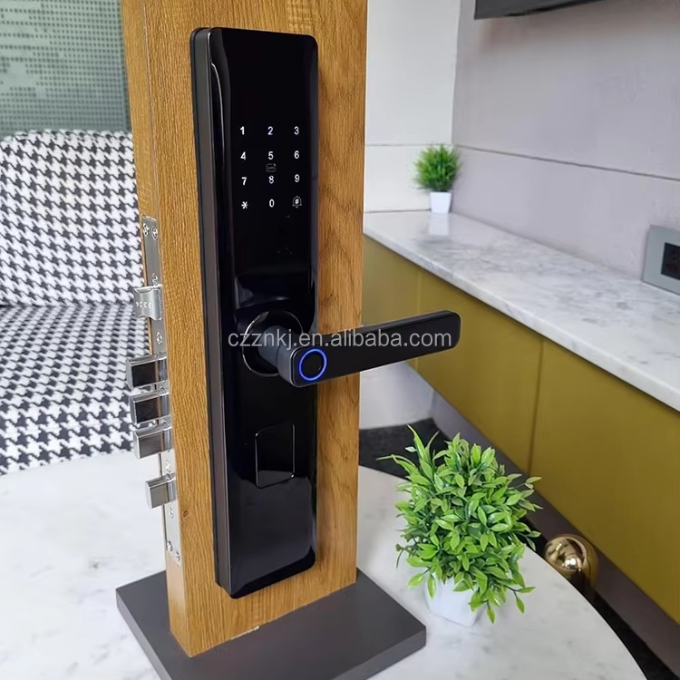 Digital Smart Door Lock WiFi High Security Gold Color Compatible Tuya App for Aluminum Memory Card Home Hotel Apartments Offices · image 4