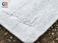 Tissu géotextile non tissé en polypropylène 300 g/m² pour la construction routière, le drainage, la filtration, la séparation des sols et le renforcement