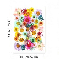 Kit de fleurs séchées pressées de grande taille, couleurs mélangées, directement de l'usine, pour la décoration de coques de téléphone et de marque-pages DIY