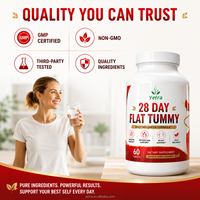 Produits pour un ventre plat en 28 jours, pilules amaigrissantes, capsules brûle-graisses, complément alimentaire pour la suppression de l'appétit, détox pour un ventre plat pour femmes