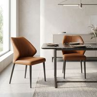 Ensemble de 2 chaises de salle à manger scandinaves modernes du milieu du siècle, revêtement en velours, structure métallique, écologiques et durables, pour salons et maisons