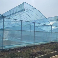 Grande structure de tunnel de serre en acier galvanisé à chaud multi-travées, longueur personnalisable pour l'agriculture hydroponique de tomates