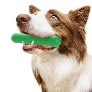 Professional Dog Trainers' Premium Quality Eco-Friendly Agility Equipment Roped Ham <b>Bite</b> Stick for Small Animals Modern Daily - Product Image 2