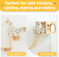 Étagères murales modernes et robustes pour chats, meubles muraux en bois, grands postes à gratter et perchoirs d'escalade pour chats