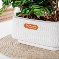 Pot Hidroponik Minimalis Meixuan Sistem Penyiraman Otomatis Pola-S Gaya Santai Berbahan Resin Plastik Putih Bentuk Oval Dua Pot
