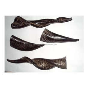 Cuerno de cabra pulido natural - Product Image 1