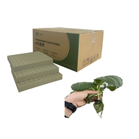 Cubes de mousse phénolique Root Riot pour hydroponie, éponges agricoles à haute capacité poreuse, petite taille, supports de culture pour micro-verts, compressibles