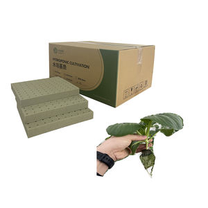 Cubos de Espuma Fenólica Root Riot, Esponjas Agrícolas Hidropónicas, Alto Espacio de Poros, Tamaño Pequeño, Medios de Cultivo para Microgreens, Compresivos - Product Image 5